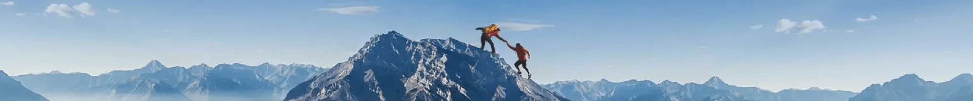 关于伙伴