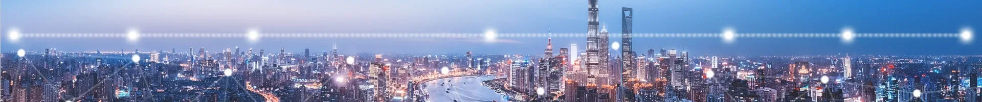 业务领域
